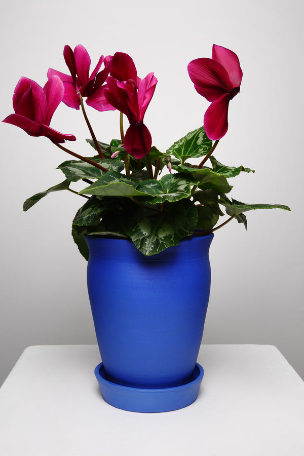 TL Line- Majorelle Blue Vase Planter